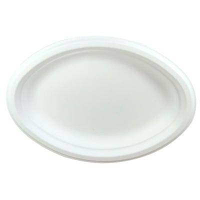 China 100% Compostable Biodegradable Eco-Friendly Disposable Tableware 10