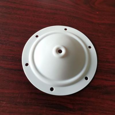 China FIRE 15-033 Diaphragm PTFE Compatible With Blagdon Pumps Parts for sale