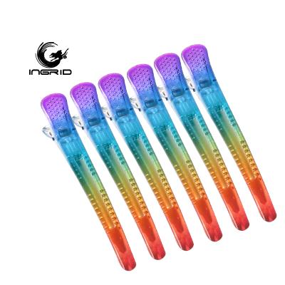 China Beautiful New Home Style Rainbow Hair Clips Clips Duck Hair Accessories Women Plastic Clips for sale