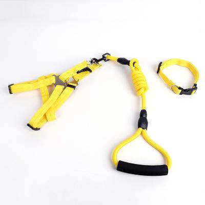 China DETACHED OEM Customized Small Medium Puppy Adjustable Nylon Dog Collar Leash Harness Set for sale