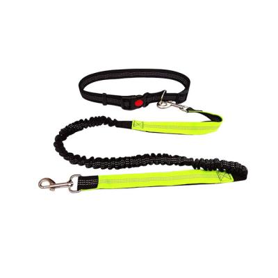 China Light Weight Waist Bag Nylon Padded Pet Colorful Custom Reflective Adjustable Collar And Leashes for sale