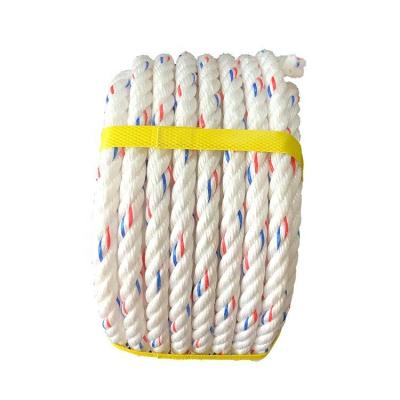 China Durable Wholesale Colorful PP Danline Rope Polypropylene Twine 3 Strand Packing Rope for sale