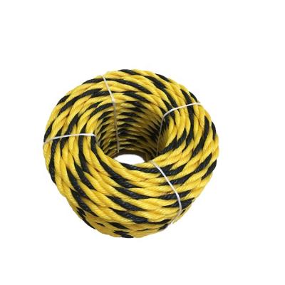 China Professional Fishing Field Rope Supplier PP Sinker Rope for sale