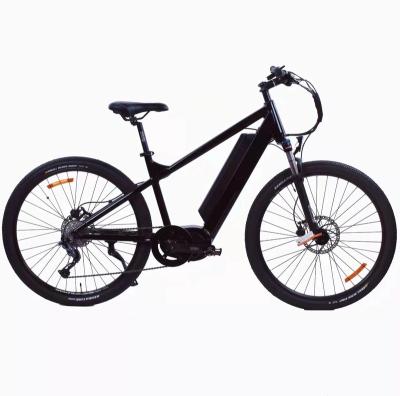 China Max Speed Power Classic 1000w Lithium Battery Mountain City Electric Bike en venta