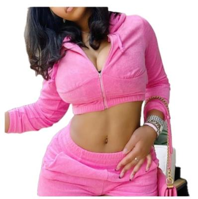 China Zipper Hoodie Crop Top And Pants Set QUICK DRY Custom Two Piece Set Women Solid 2 Piece Set Women Outfits for sale