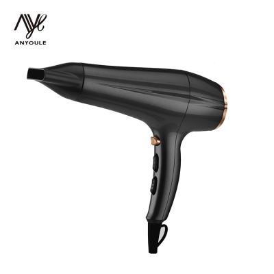 China Amazon Hair Dryer Professional Wholesale Ionic Hair Salon Hair Dryer Hair Dryer Prices for sale