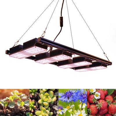 China Plant Warehouse Project 150w 200w 1000W CXB3590 3500K DIY COB cob led hydroponic growing lighting for indoor plants full spectrum with diy kit for sale