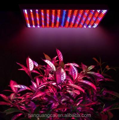 China Fruit Vegetable Greenhouse Flower High Efficient LED Plant Growing Lights Full Spectrum Light Panel For Indoor Plants Veg And Flower for sale