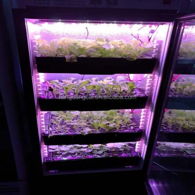 China Green House Plant Growth Spectrum Full Led To Grow Light For Hydroponic Plant Growth System Newest Beautiful Design for sale