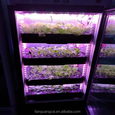 China Green Room Plant Growth Alibaba Hot Sales Led Growing Light Full Spectrum For Plant Growth Hydroponic System for sale