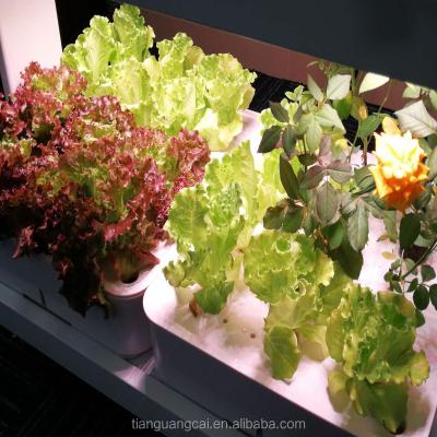 China 2018 Modern Appearance Most Popular High Quality Led Grow Light Hydroponic Plant For Vegetable Grow for sale