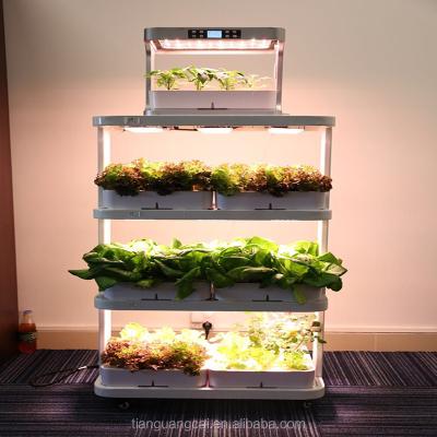 China Modern Appearance Hydroponic Greenhouse Growing System For Home For Vegetable for sale