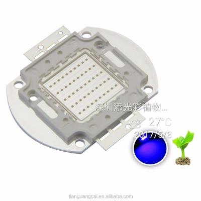 China Hot selling Epileds and high power 450-460nm blue led factory grow chip 10w 20w 30w 40w 50w 60w 70w 80w 90w 100w 150w for sale