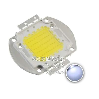 China Epistar Greenhouse 10W 20W 30W High Power Full COB Spectrum Grow LED Chip for sale