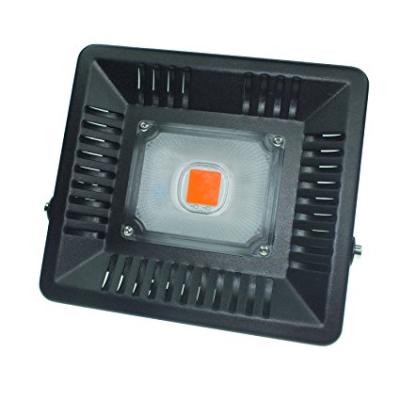 China LED Grow Light Shenzhen Factory Avatar 3 Years Warranty 50W COB Full Spectrum Factory LED Grow Lighting for sale