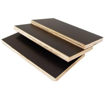 China Poplar Panels For Construction Black Film Faced Plywood for sale