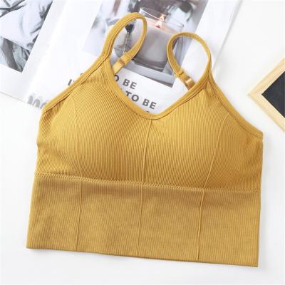 China Anti-Static Cotton Sports Bras Women Push Up Gym Women Girl Underwear Fitness Yoga Sport Solid Jogging Tops for sale