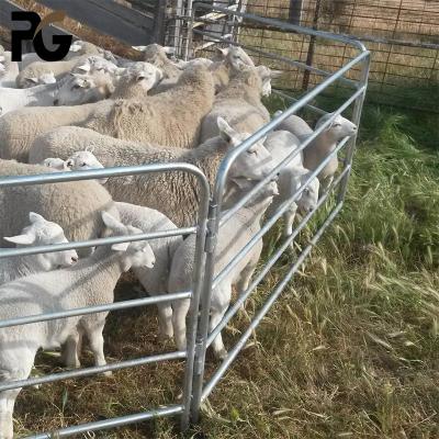 China Easily Assembled Sheep Panel Australia Galvanized Cattle Sheep Yard Panels and Goat Fence Panel for Sale for sale