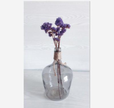 China Europe glass decorative colored clear glass flower vase/glass vases for home decoration for sale