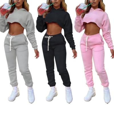 China Breathable Two Piece Sports Culture Gym Sweatershirt Women's Hoodie Top Tracksuit Sets Crop Thickening Sports Women Casual Suit for sale