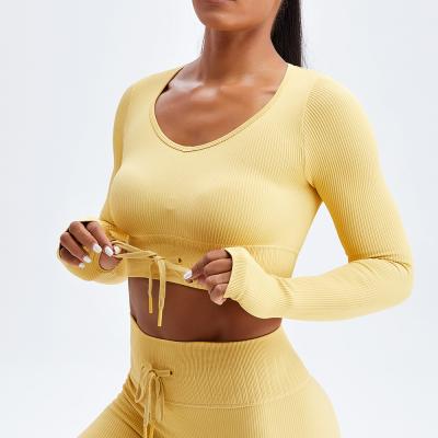 China Shirts & Seamless Ribbed Tops Long Sleeve Ribbed Outfits Tracksuits Yoga Camis Crop Top for sale