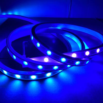 China Home Flexible Vacation Tuya SMD 5050 IP65 24 DMX512 RGB LED Amazon Theme Park Lighting Waterproof Flexible RGB LED Strip for sale