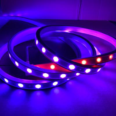 China Theme Park Custom DC24V RGB Digital Smd5050 Neon Light 24 LED Per Meter IP65 Neon Light Strip Led Neon Flexible for sale