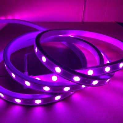 China Theme Park LED Strip Light 360 SMD5050 Round Flexible Light Decorative Neon Strip Light 24 LED 16W IP65 DC24V for sale