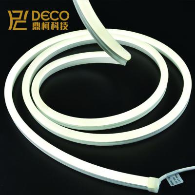 China LANDSCAPE DC 12v 24v 10*23mm led neon light cable customs lead neon sign neon for wall decoration for sale