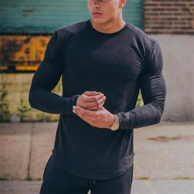 China Wholesale Anti-Shrink Cotton Drop Shoulder Solid Casual Men's Solid Fitness Shirt High Quality Shirt Color 100% Breathable T-Shirt for sale