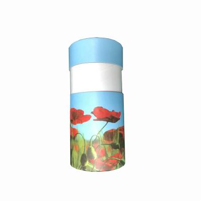 China Biodegradable and Customized Bio Degradable Cardboard Paper Cremation Urns from China's Best Seller for sale