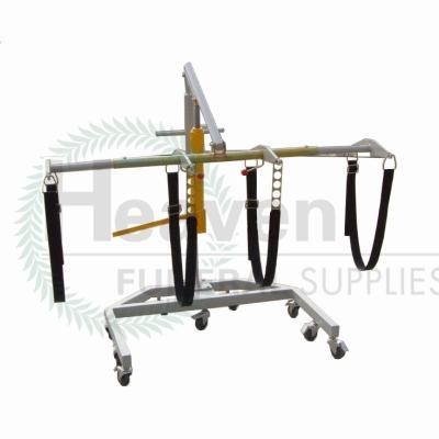 China European Style Body And Coffin Elevator Hydraulic Mortuary Patient Crane for sale