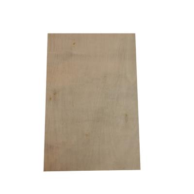 China Best quality strong waterproof plywood for china plywood factory commercial plywood for sale