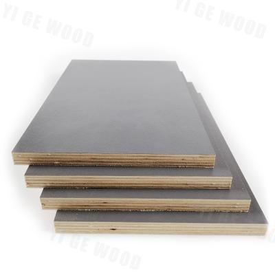 China Linyi plywood factory modern marine plywood cheap plywood sheet for sale