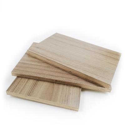 China Manufacture 18mm Modern Commercial Plywood Plywood Sheet Plywood Price for sale