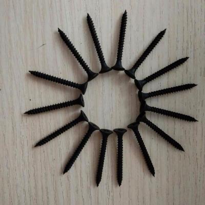 China BLACK DRYWALL SCREW steel for sale