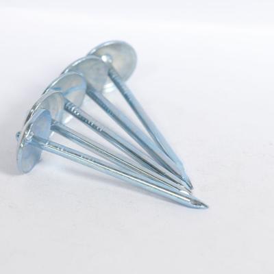 China Hot Selling Corrugated Covering Cap Nails for sale