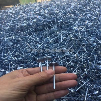 China Galvanized Steel Twist Leg Umbrella Roofing Nails for sale