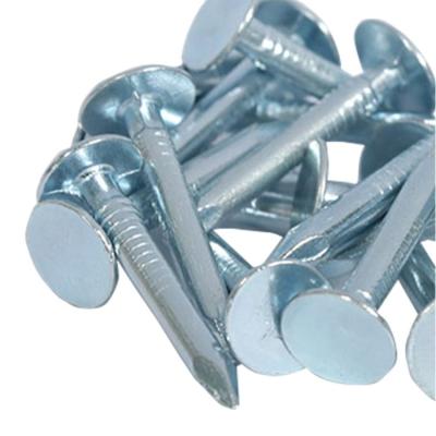 China 2021 steel new nail design for new smooth exterior nail for sale