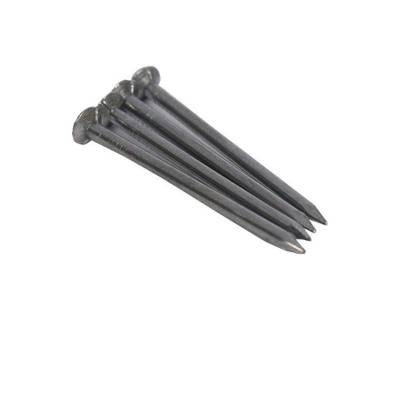 China Harden and Safe 2021 Hot Sale High Quality Galvanized Steel Nails Factory for Concrete Round Wire Nails for sale