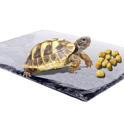 China Non-automatic Turtle Rock Dish Pet Slate Bowls Food Dish Turtle Bathing Rock Rest for sale