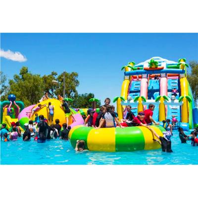 China Dourable New design Commercial inflatables double slide inflatable tropical palm tree inflatable water slides for kids adult for sale