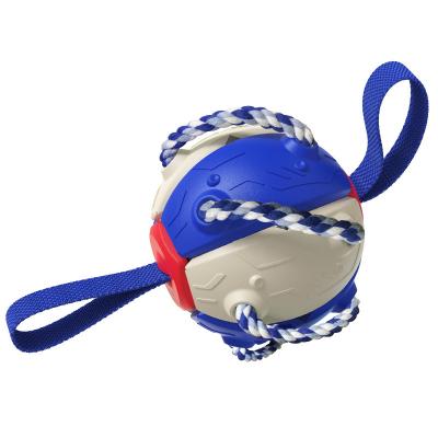 China Sustainable Dog Toys Ball With Chew Strings Ball Catch Ball Interactive Training Toy for sale