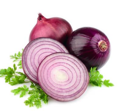 China Free sample fresh onion wholesalers other fresh vegetables onions china fresh onion for sale