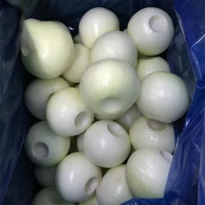 China China Origin Vacuum Bag Healthy Fresh Peeled Onion Packing White Peeled Fresh Onion High Quality White For Export for sale