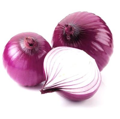 China Free Sample Fresh Onion Wholesalers Other Fresh Vegetables For Supermarket for sale