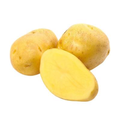 China Low Ton Wholesale Chinese Fresh Holland Potato High Quality Poteto Healthy Fresh Potato Healthy Fresh Potato Vegetable Price for sale