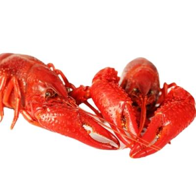 China 2021 sale crawfish frozen food fast food decaffeinated hot ready-to-eat ready-to-eat food for sale