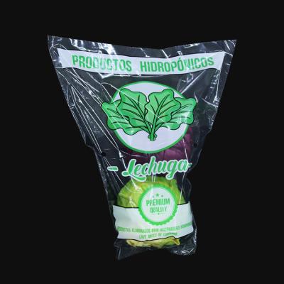 China Poly Bags CPP OPP Lettuce Recyclable Vegetable Plastic Bag With Holes Packing Clear Custom Logo Printing Transparent Flower Sleeve à venda