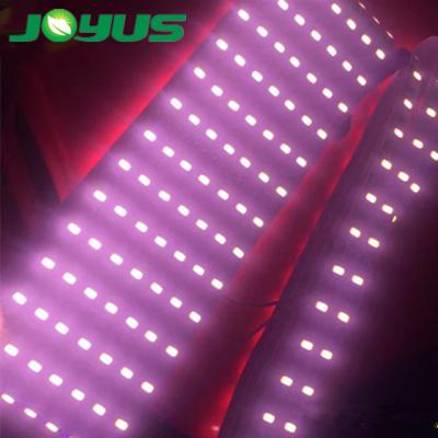 China Seed start led strip for growing light full spectrum under water outdoor ip68 12v 5730 pink color 300 LED 5m 90W for plant growing for sale